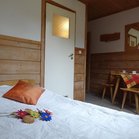 Camping Harenda Pokoje Goscinne I Domki Zakopane Exteriér fotografie