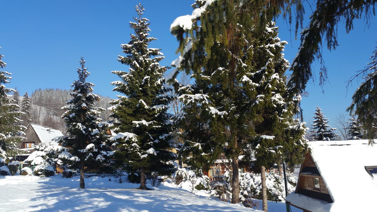 Camping Harenda Pokoje Goscinne I Domki Zakopane Exteriér fotografie