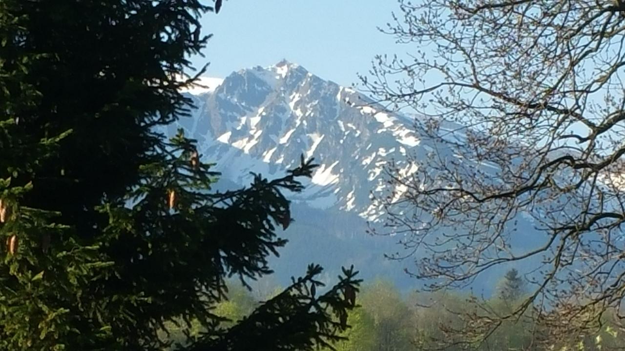 Camping Harenda Pokoje Goscinne I Domki Zakopane Exteriér fotografie