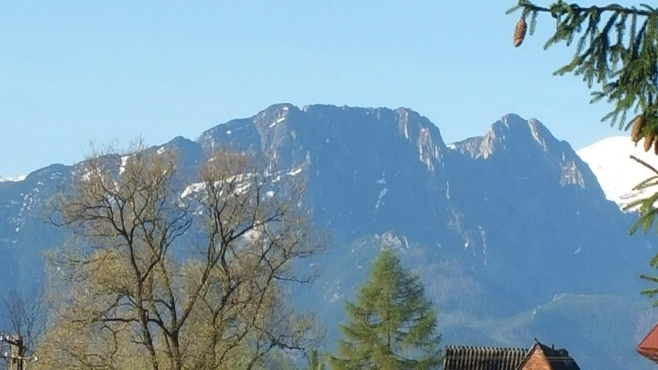Camping Harenda Pokoje Goscinne I Domki Zakopane Exteriér fotografie