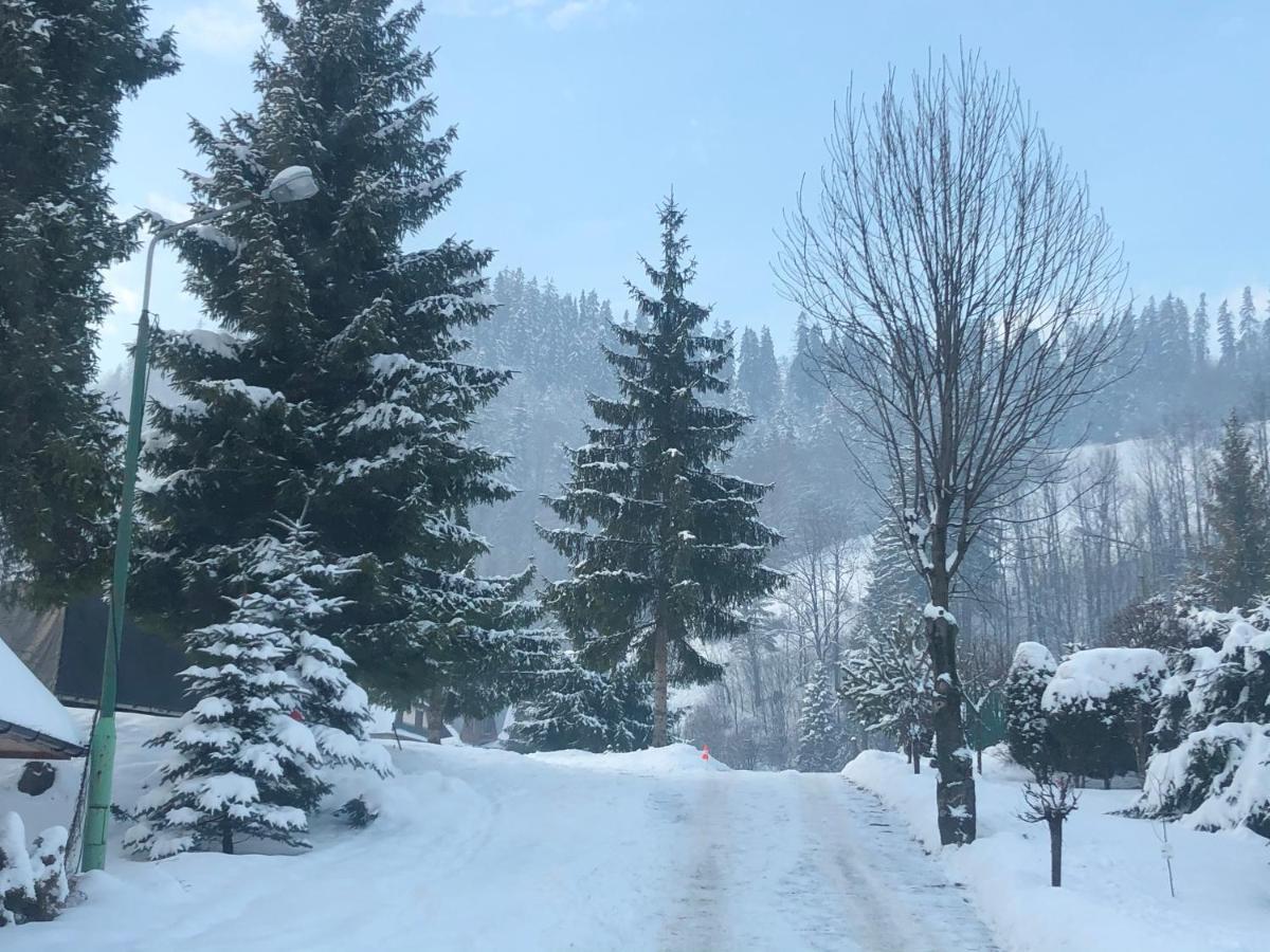 Camping Harenda Pokoje Goscinne I Domki Zakopane Exteriér fotografie