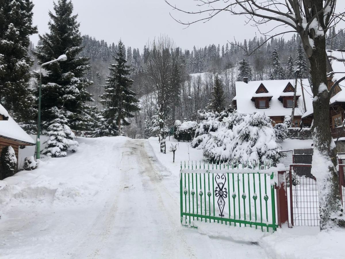 Camping Harenda Pokoje Goscinne I Domki Zakopane Exteriér fotografie